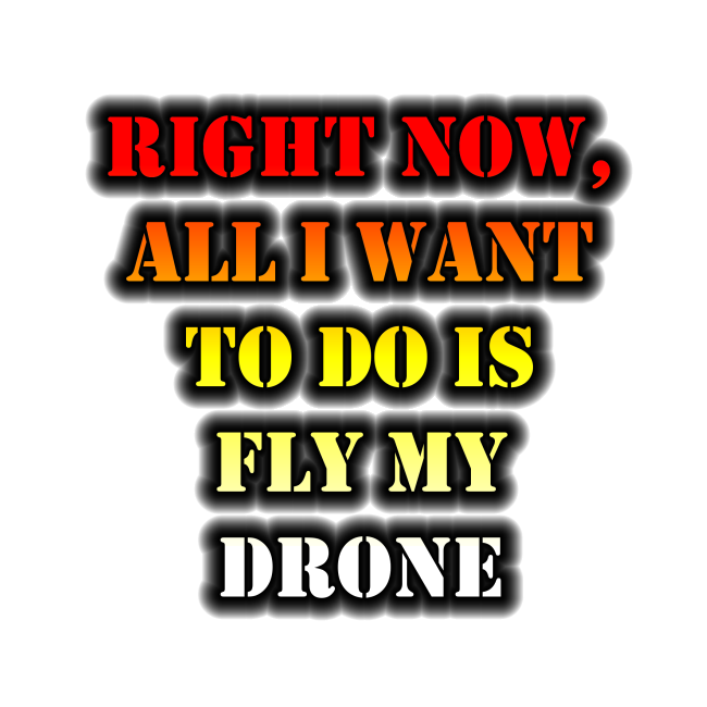 Right Now, All I Want To Do Is Fly My Drone design.